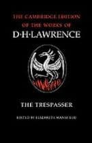 The Trespasser