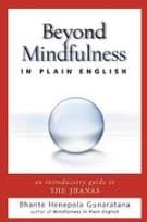 Beyond Mindfulness in Plain English