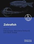 Zebrafish