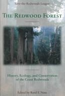 The Redwood Forest