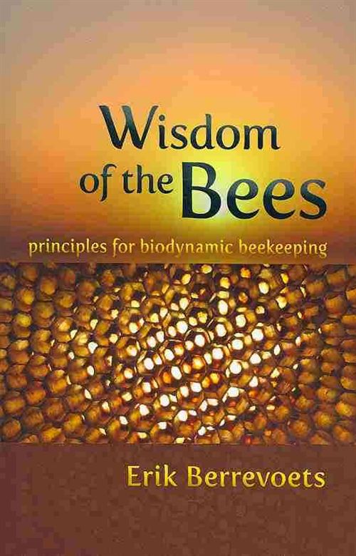 Wisdom of the Bees