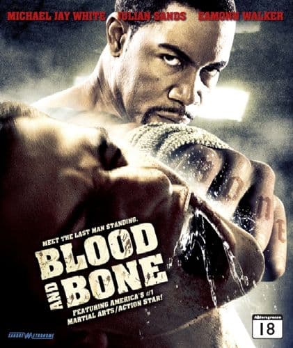 Blood and Bone (Blu-ray)