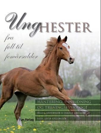 Unghester