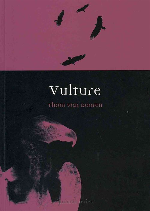 Vulture