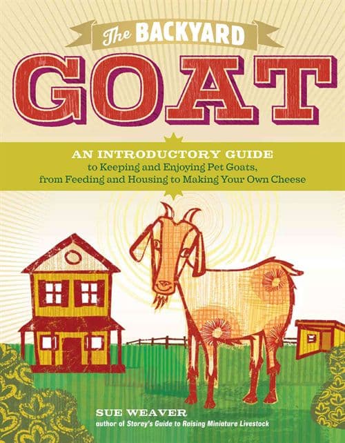 Backyard Goat