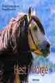 Hest i Norge