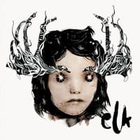 ELK - Elktronic