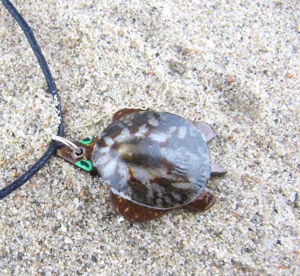 Halsband Sköldpadda