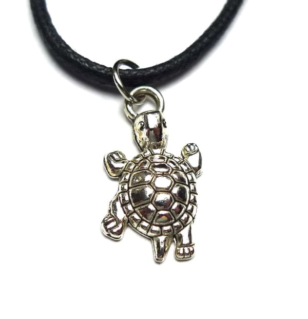 Reglerbart Halsband Sköldpadda