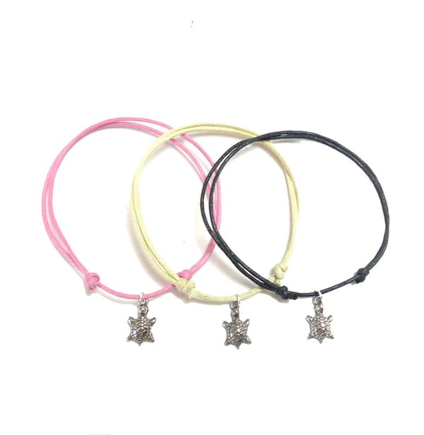 Fotband med Sköldpadda 3-pack