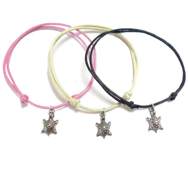 Fotband med Sköldpadda 3-pack