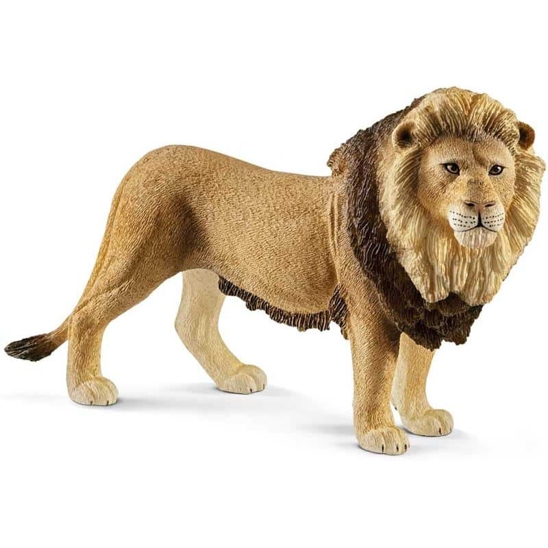 Schleich, Lejon