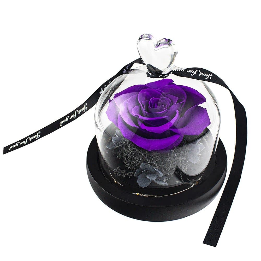 Liten Rose i Glasskuppel - Lilla