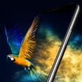 Miniatyrbild 6 av 11: iPhone 11 3-PACK Skärmskydd 2.5D Ram 9H 0,3mm