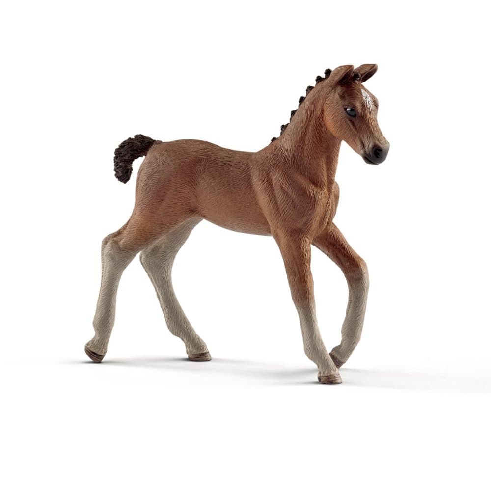 Hannoveraner föl Schleich 13818