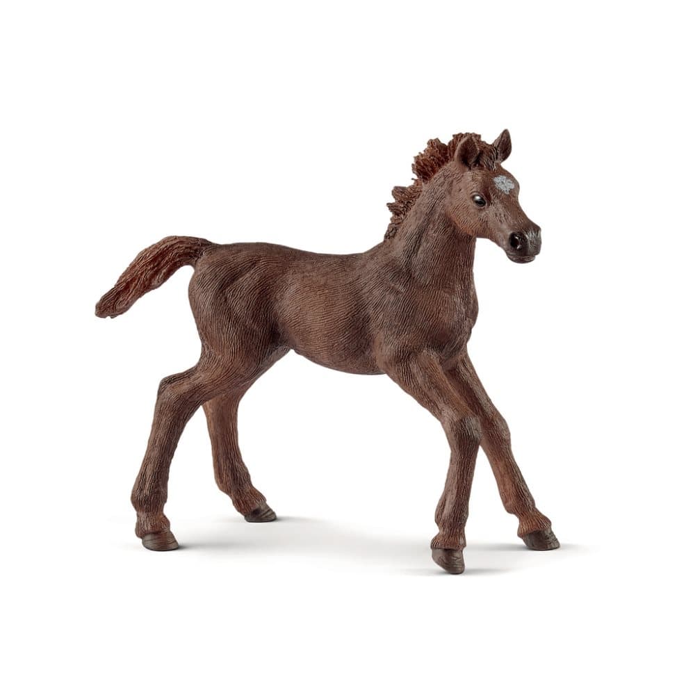 Schleich English thoroughbred Foal 13857