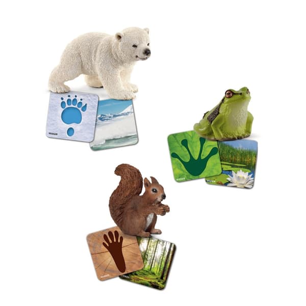 schleich® WILD LIFE Djur och bilder 42474