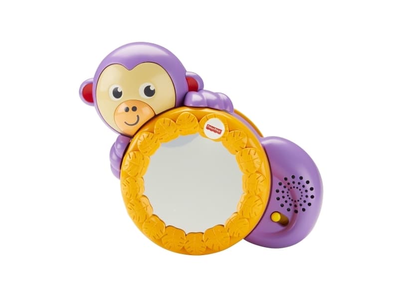 Fisher-Price 1-2-3 Crawl Along Monkey, 229 mm, 203 mm