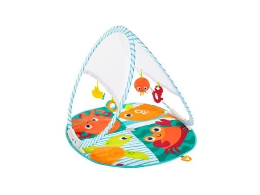 Fisher-Price FXC15, Babylekmatta, Multifärg, Pojke/flicka, Inomhus / utomhus, Låda