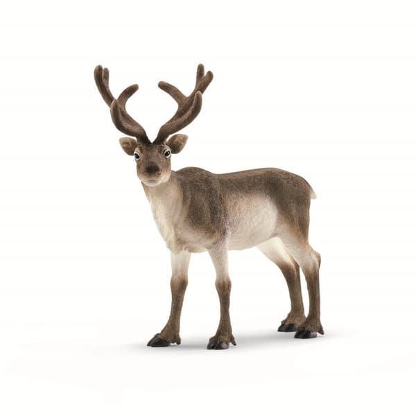 schleich® WILD LIFE Ren 14837