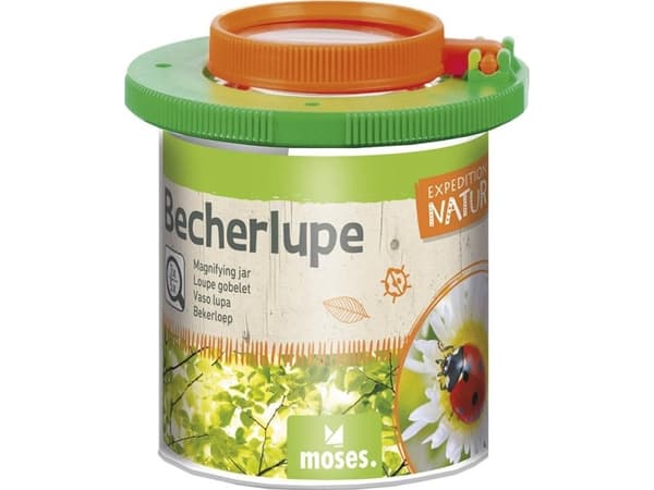 Moses Insect Observation Container