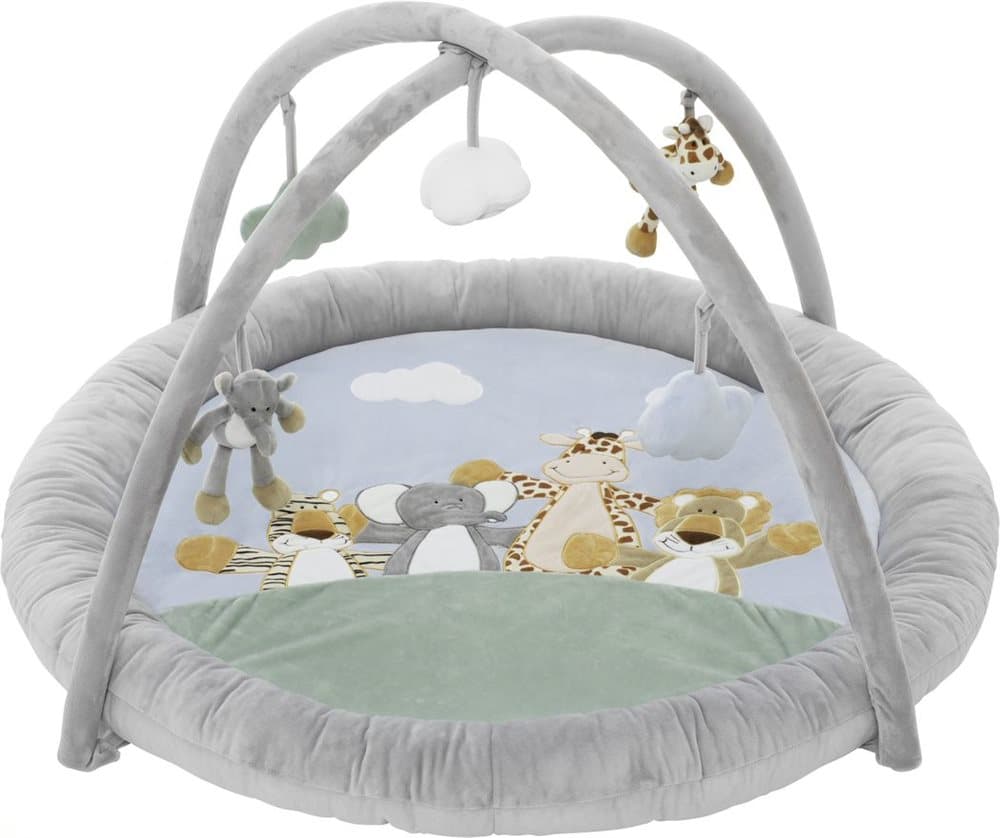 Babygym Diinglisar Wild