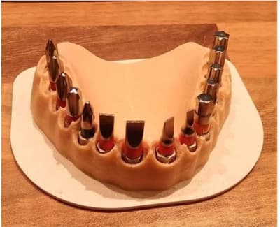 Bit Holder denture, Teeth, mouth (bits not included)