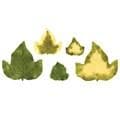 JEM Foliage Cutters - Large Ivy Set of 4