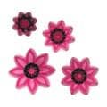 JEM Floral Cutters - Pointed 8 Petal Daisy Set of 4