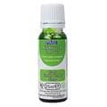 Airbrush Colour - Lime (25g / 0.88oz)