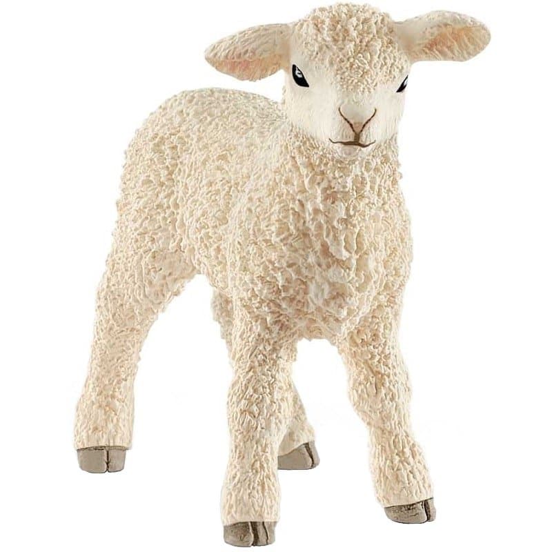 Schleich, Lam