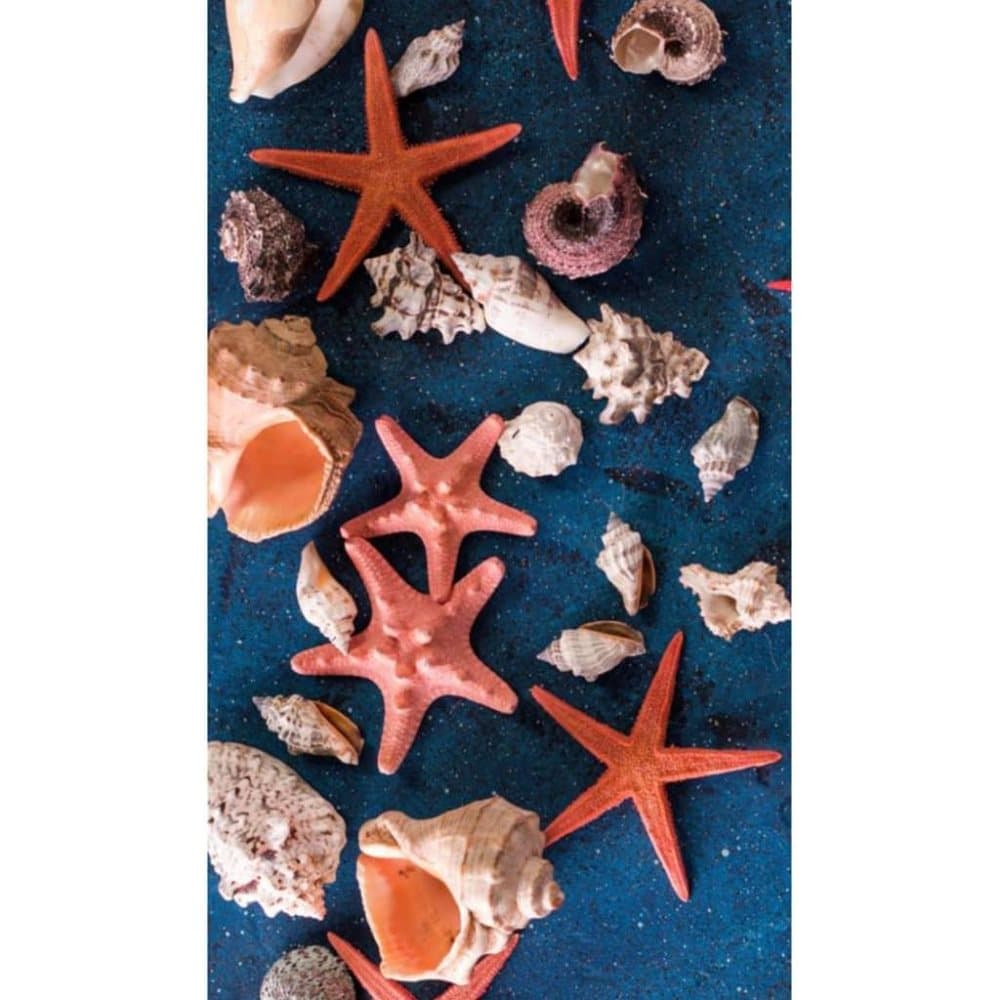 Good Morning badehåndklæde SEA STAR 100x180 cm blå