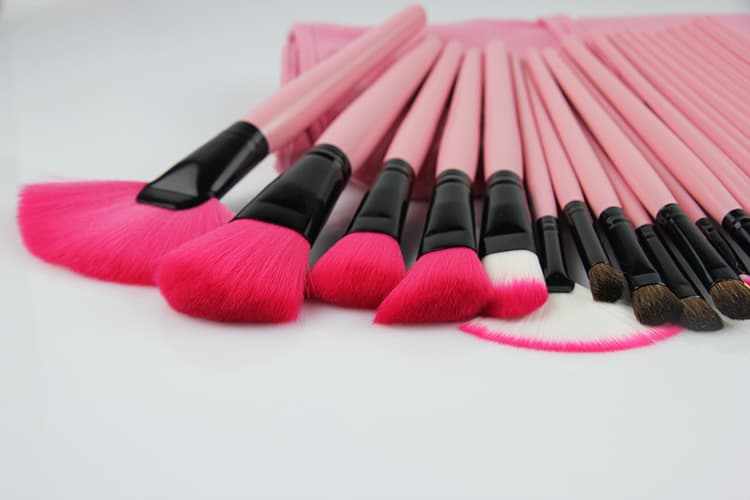 Pink 24st Professional makeup brushes and leather case