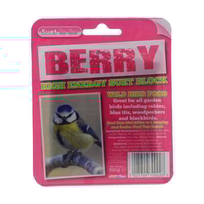 Suet To Go Bird Suet Block