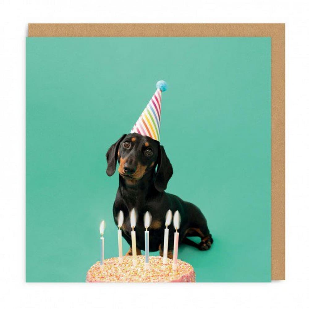 Ohh Deer Scout Party Hat Square Birthday Card