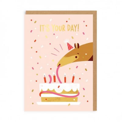 Ohh Deer Anteater Birthday Card