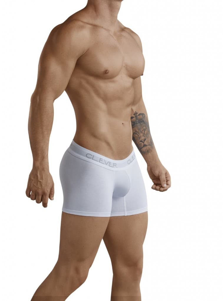 Basic Boxer