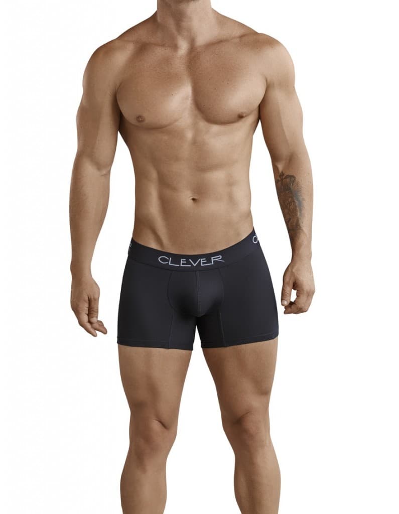 Basic Boxer