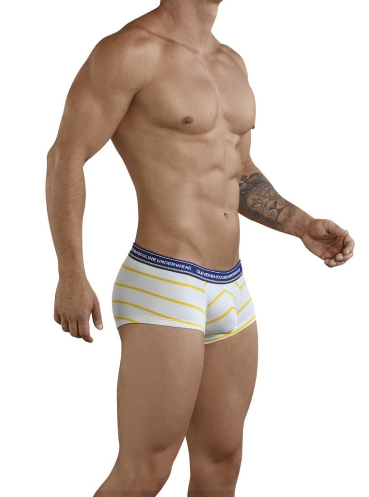 Milkshake Latin Boxer