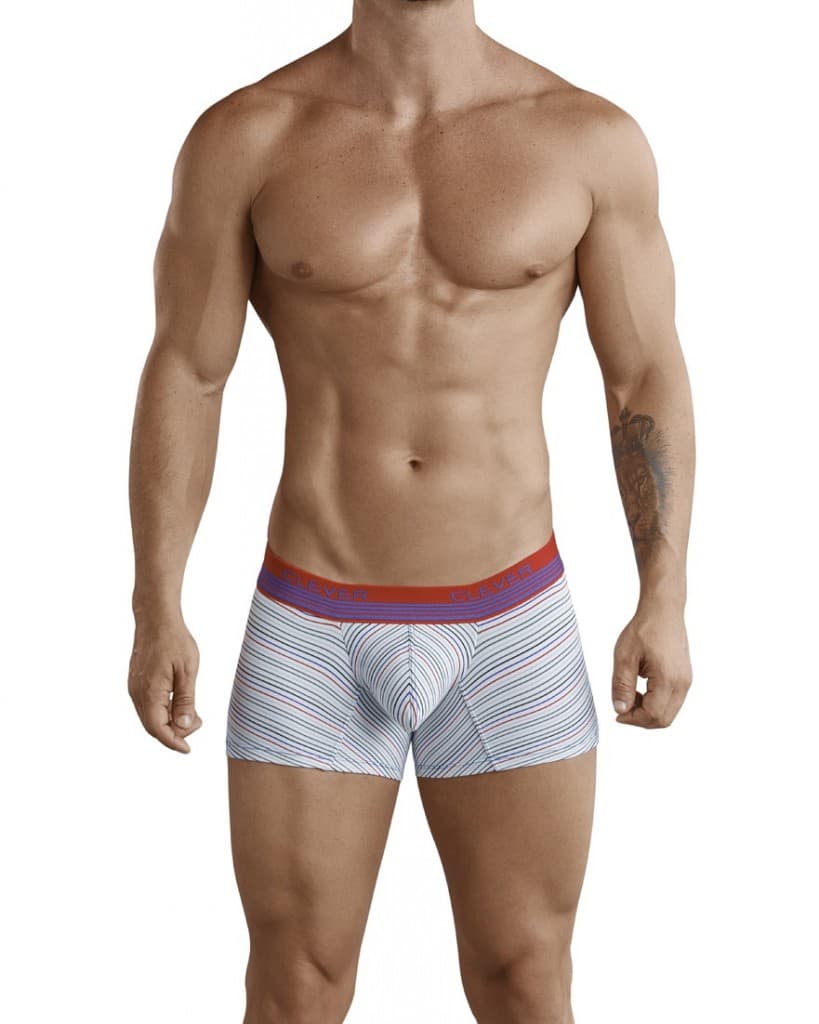 Angolan Boxer Medium