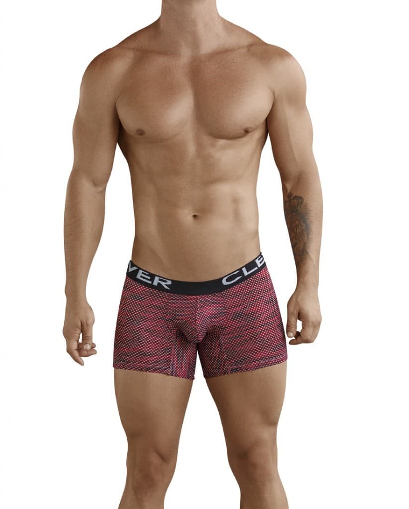 Briton Boxer