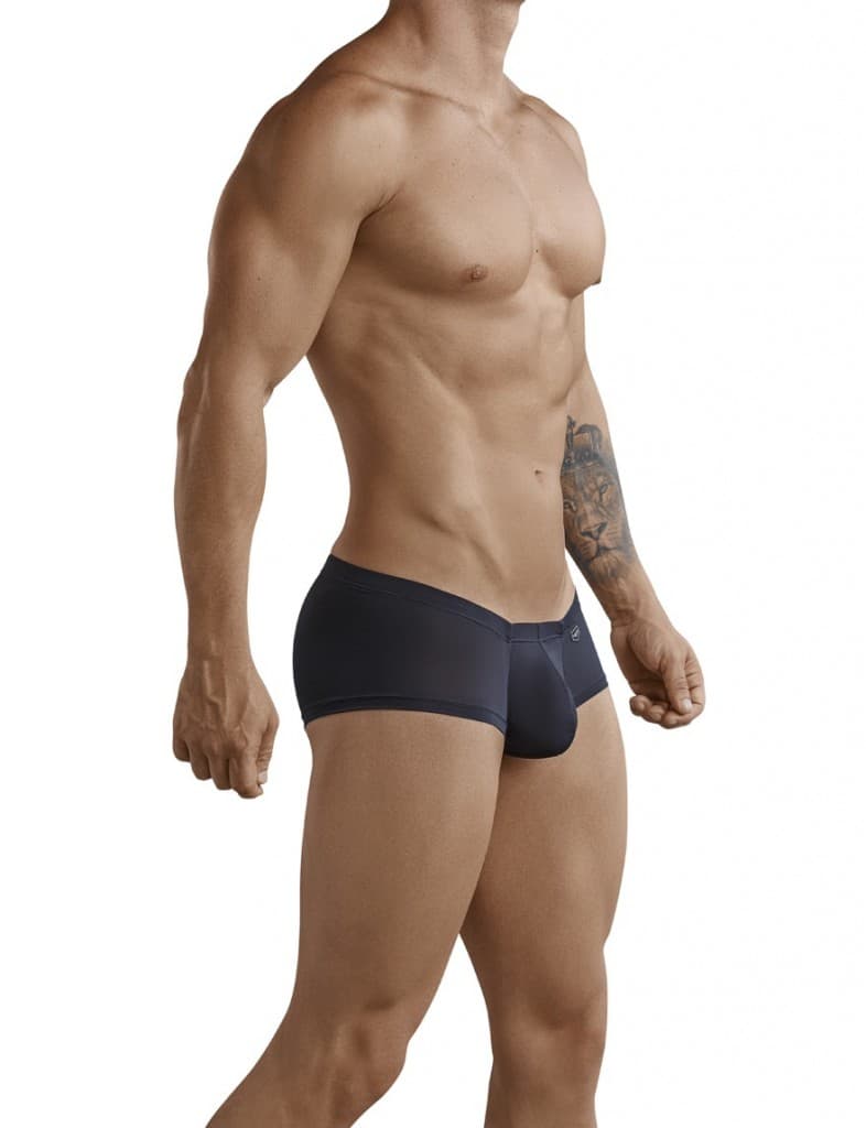 Austrian Latin Boxer