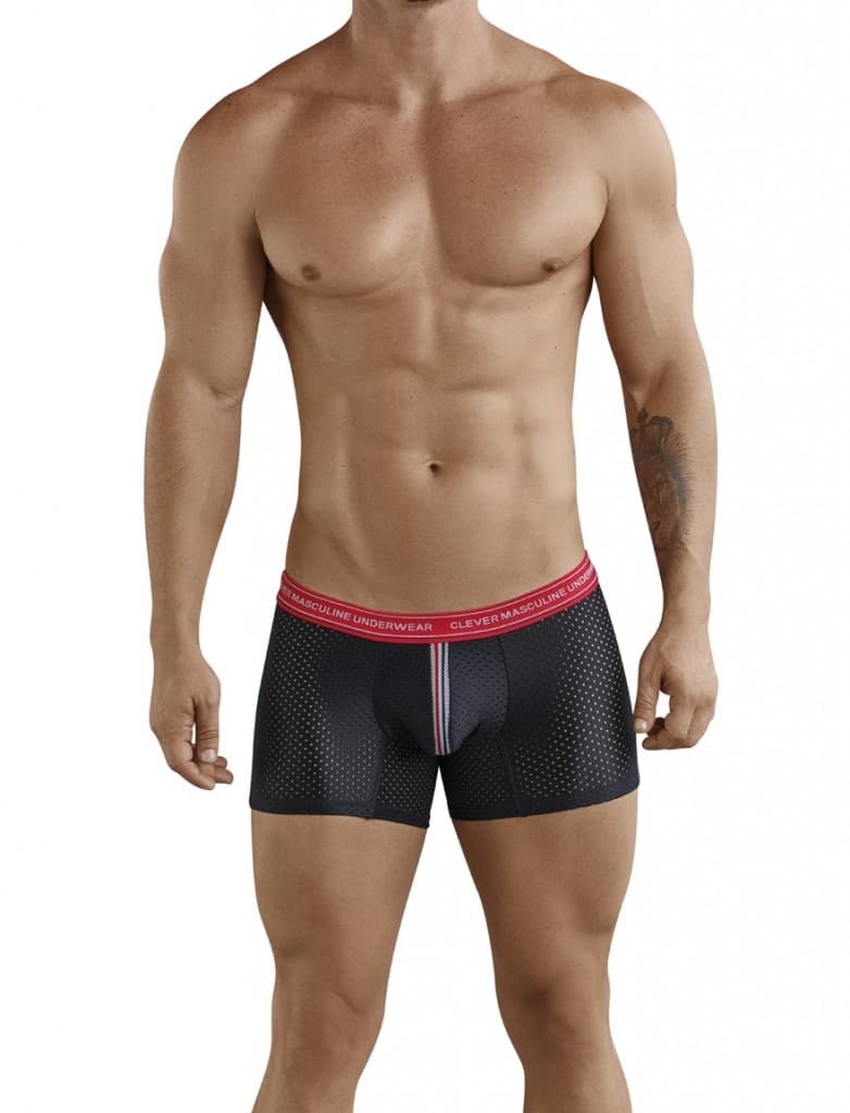 Fransua Boxer