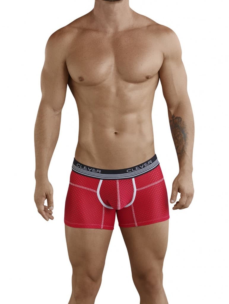 Danish Boxer