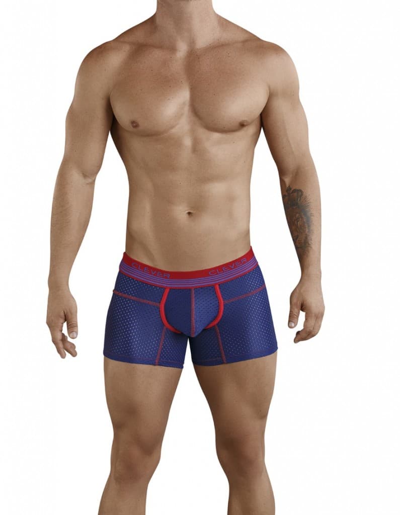 Danish Boxer