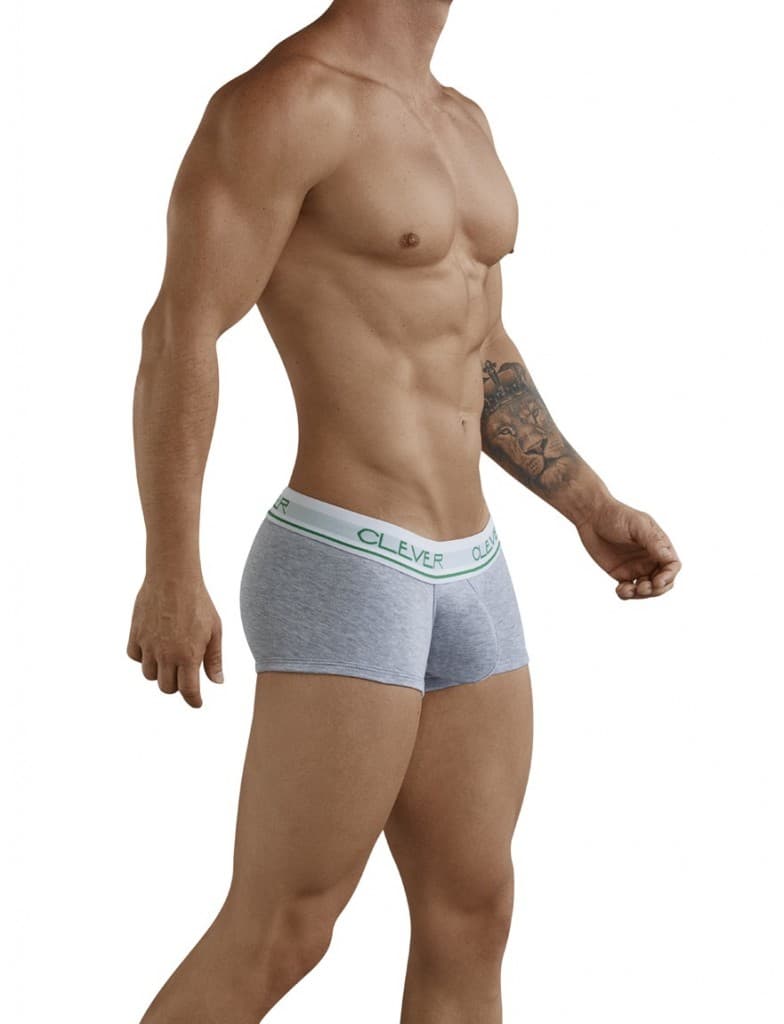 Canadian Latin Boxer