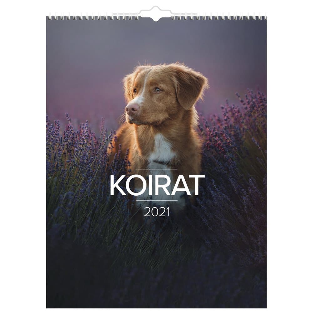 Seinäkalenteri 2021 Koirat Burde