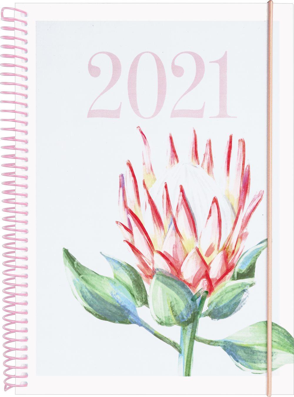 Kalender 2021 Senator A5 Legend Protea Burde