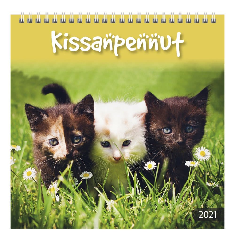 Seinäkalenteri 2021 Kissanpennut Burde