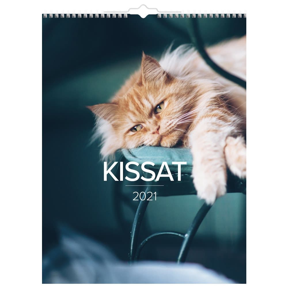 Seinäkalenteri 2021 Kissat Burde